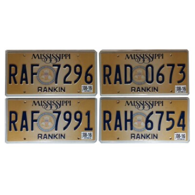 MISSISSIPPI (V1) : Plaque immatriculation US  30x15cm plate relief
