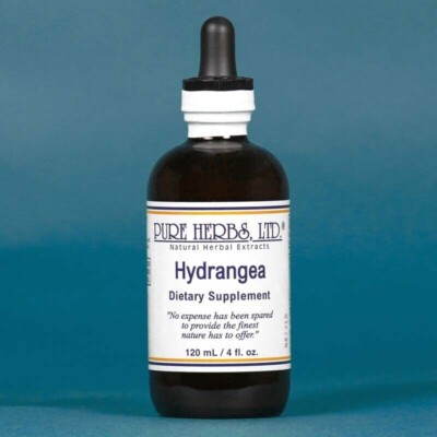 Pure Herbs Hydrangea, 4oz.