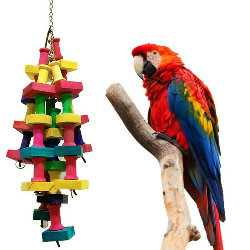 Parrot Chew Toys