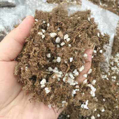 8 cups Succulent Cactus & Carnivorous Plant Potting Soil Mix Peat Moss & Perlite