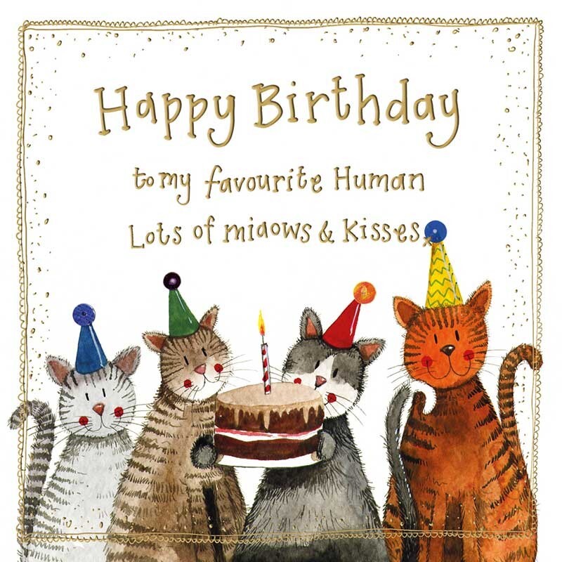 Geburtstagskarte "Happy Birthday From The Cat" – Lustige A5 Glückwunschkarte Mit Umschlag