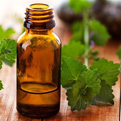 Nettle Root Tincture Extract Liquid