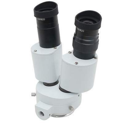Microscope Head Long Working Distance 145mm with 10x Eyepieces 0.8x Objective