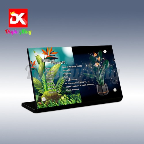 Display King - Acrylic display plaque for Lego Bird of Paradise 10289 (NEW)