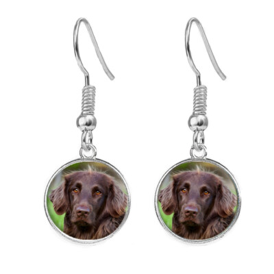 German Pointer Dog Silver Plated Jewellery Earrings Birthday Gift C522