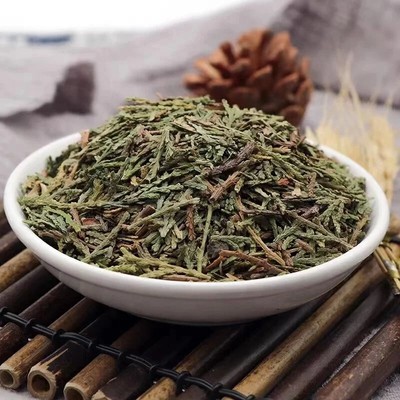 High Quality Dried Herbs Cacumen Platycladi Chinese Arborvitae Twig and Leaf