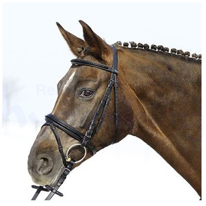 Euroriding Trensenzaum Black Clincher engl. Reithalfter