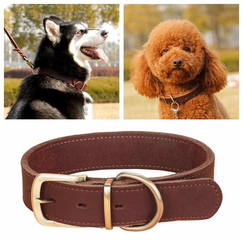 cuir-chien-collier-alliage-hardware-anneau-en-d-meilleur-pour-petit-moyen-grand