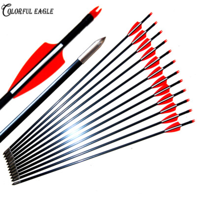 Fiberglass Arrows Archery Spine 500 Compound Recurv Bow Arrow Targeting Shooting