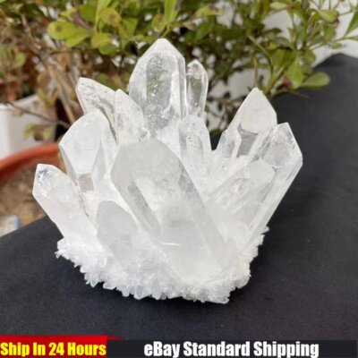 150g Large Natural Clear Quartz Crystal Cluster Druzy Geode Specimens Healing US