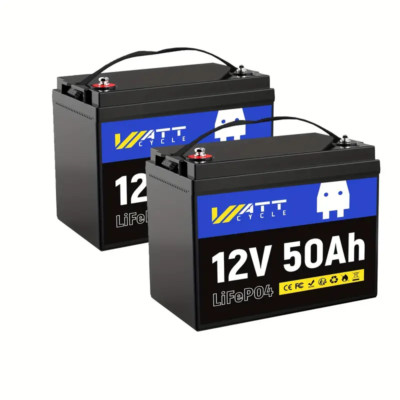 24V 50Ah LiFePO4 Lithium Battery 50A BMS (2 Pack 50Ah)Low Temperature Protection