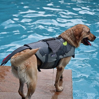 Dragon Pup Cosplay Swimwear - Unleash Your Dog's Inner Mythical Creature!