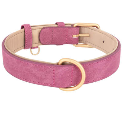 Adjustable Dog Collar