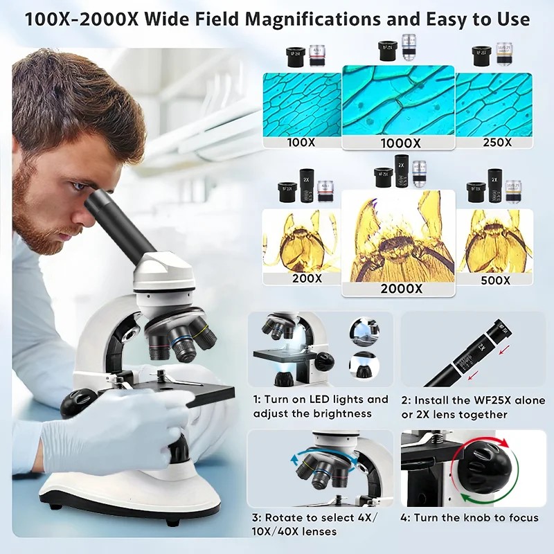 Portable Microscope for