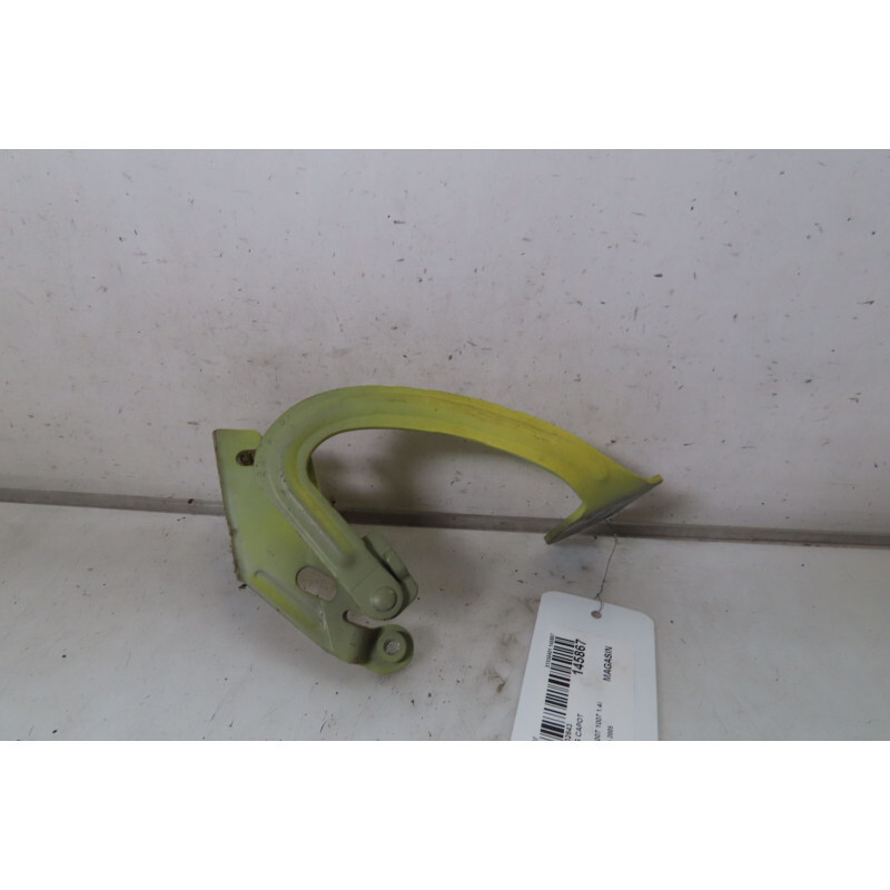 Compas G Capot Peugeot 1007 791275