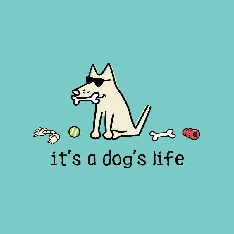It is a dog what is. Its a dog.