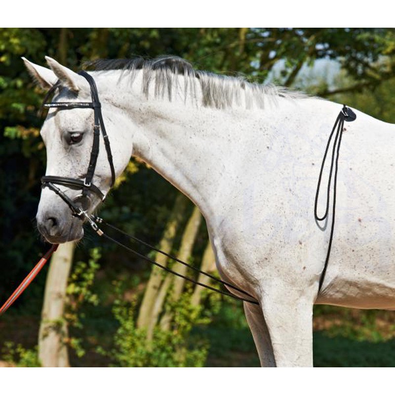 BUSSE Longierhilfe HO 4,50 m