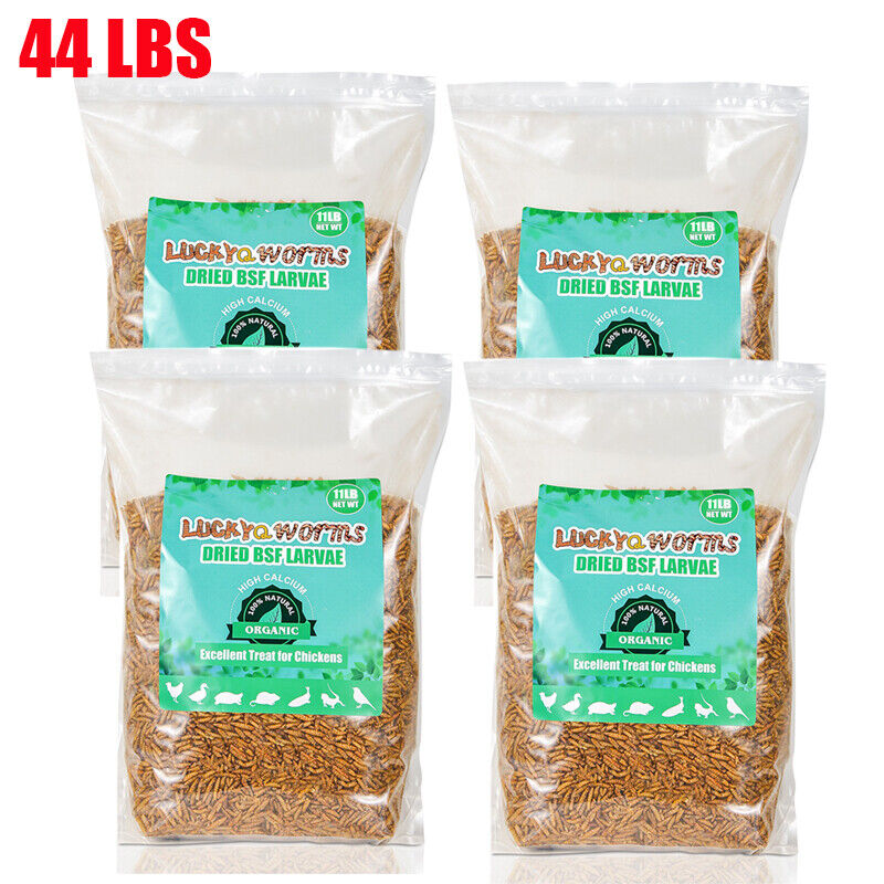 5-44LB Dried Black Soldier Fly Larvae Mealworms for Chicken Birds Treats Premium