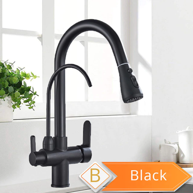 Black and Golden Filtered Crane for Kitchen Pull Out Sprayer Drinking Water Thre