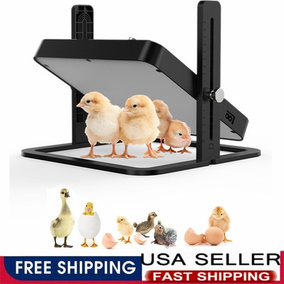 Brooder Heater For Chicks Adjustable Anti-Scald Heating Panel Chicks Incubator