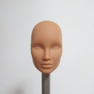 1/6 Doll Head OOAK Face Model Without Hair Unpainted Face