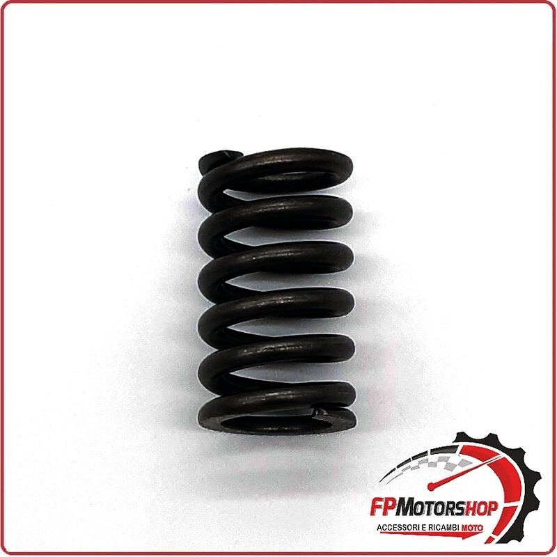 MOLLE FRIZIONE MOTO PER SUZUKI TL 1000 SV 97-98 EBC CSK078 KIT