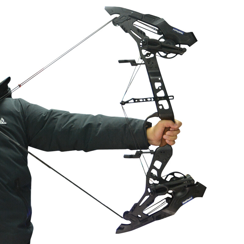 Compound bow that shoots steel balls