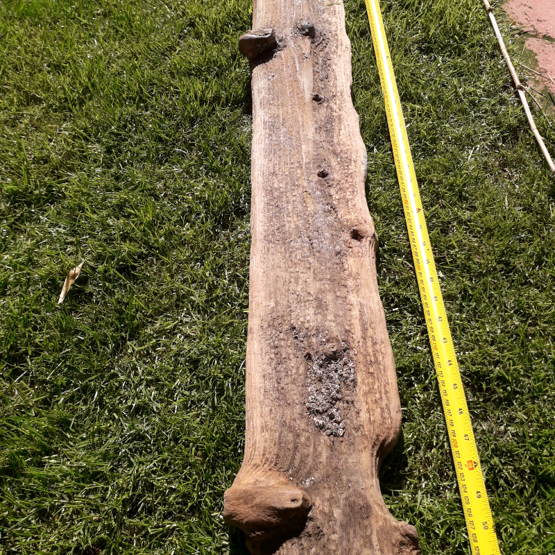 Large selection of Driftwood timber Dry Stored offers in