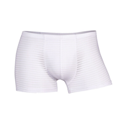 Men's Sexy Underwear Breathable Briefs U-Pouch Boxers Striped Shorts Underpants