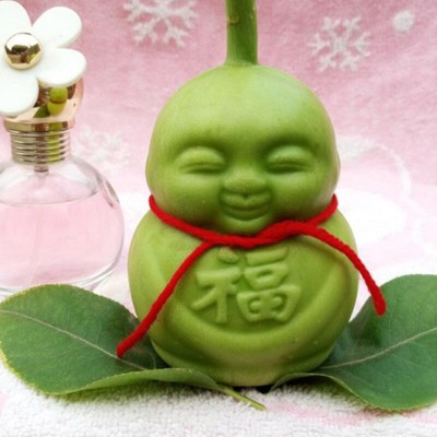 Mold Growing Fruit Cucumber Forming Molds Growth Watermelon Vegetable Mould WY4