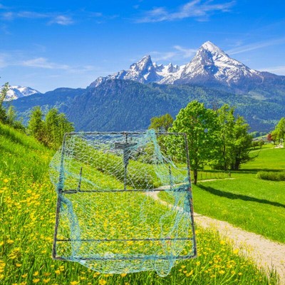 Mesh Live Trap for Sparrows Pigeons - Humane Bird Pest Control