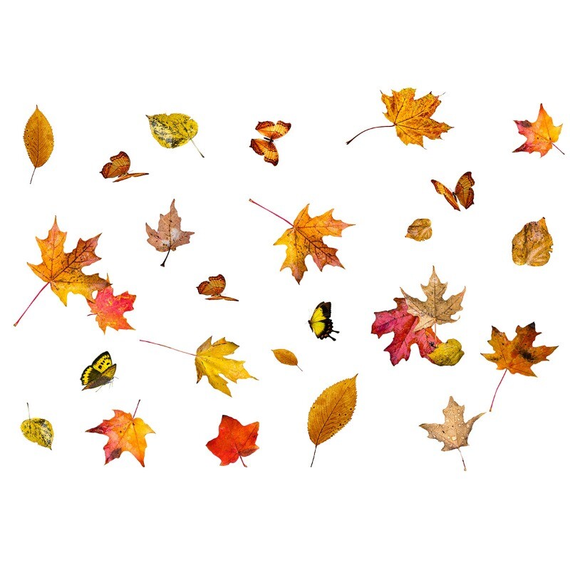 Window Clings Decals Wall Stickers Decor PVC Butterfly Autumn Maple Leaf decals