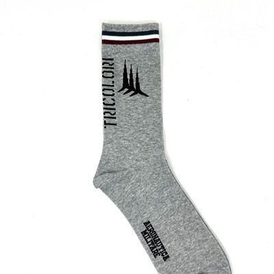 

Носки мужские Aeronautica Militare CZ010 Grey Cotton Stretch Pilot Indicator T