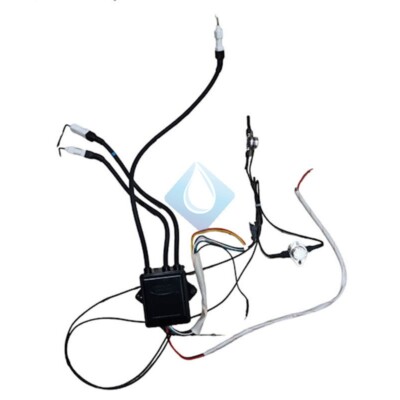 pieza de calentador forcali  CENTRALITA ELECTRÓNICA CONTROL FORCALI FWH-10A-6 LT