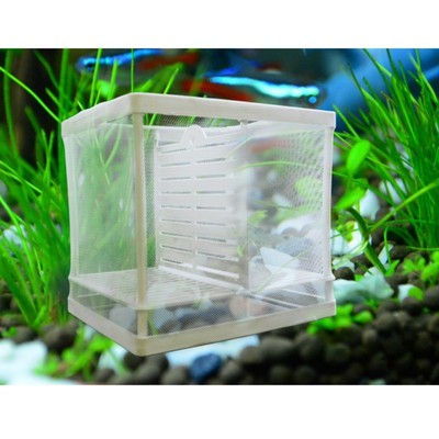 Aquarium Fish Tank Guppy Breeding Breeder Baby Fry Newborn Net Trap Box Hatchery