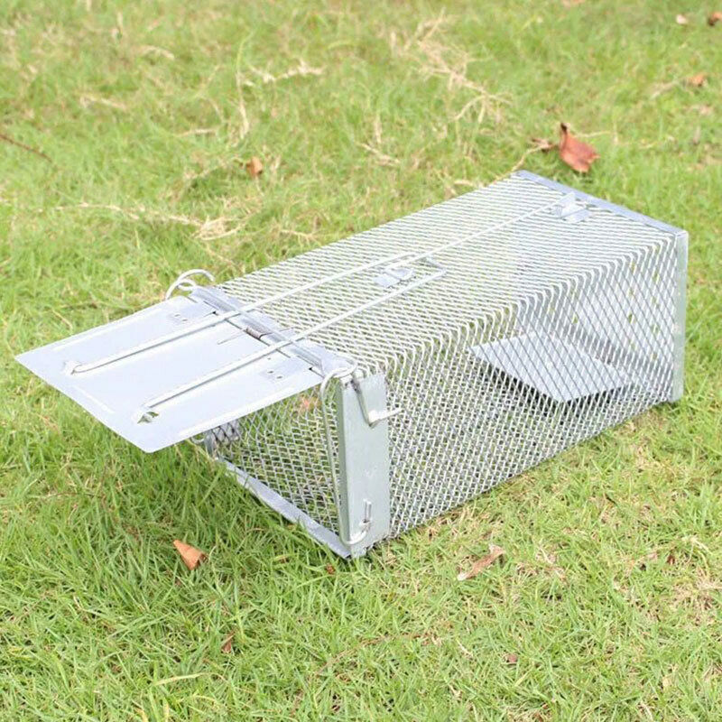 USA Mouse Trap Rat Trap Rodent Trap Live Catch Cages - Easy to Set Up and Reuse