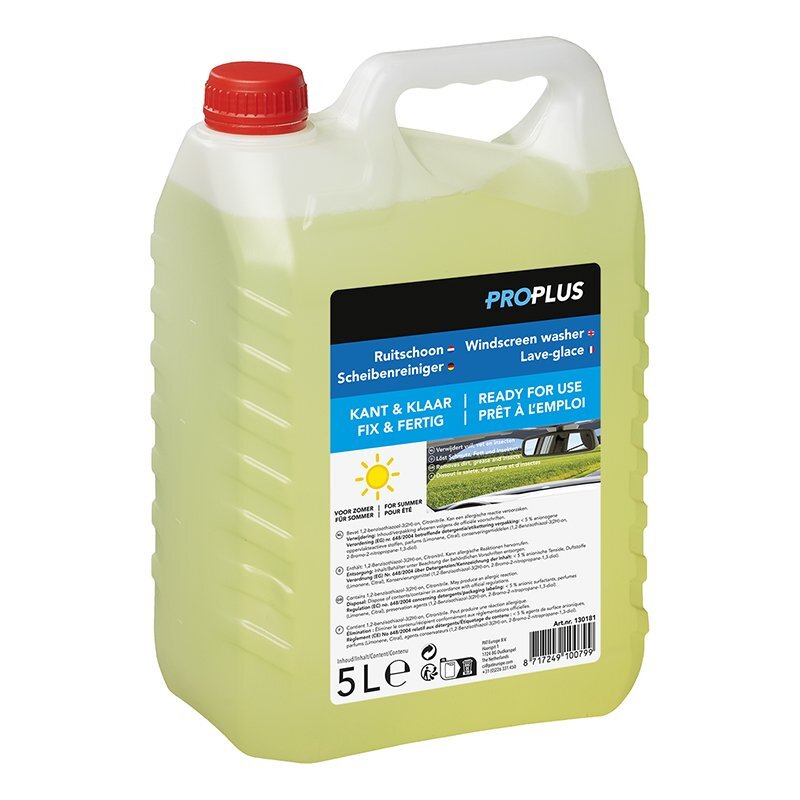 Scheibenreiniger Sommer Fertigmix 5 Liter