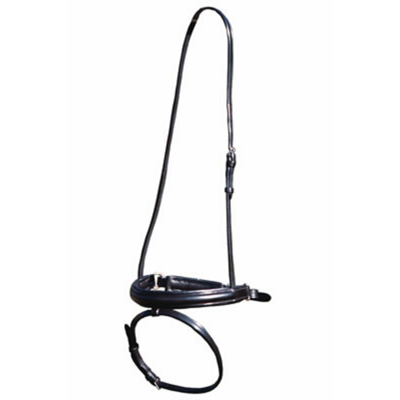 Euroriding Reithalfter schwedisch