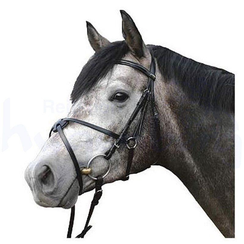 Euroriding Trensenzaum Cambridge