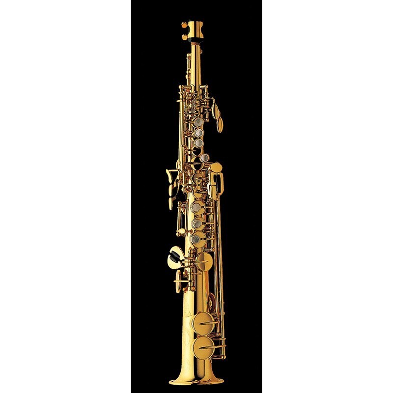 YANAGISAWA SN-901 Sopranino Saxophone w/Case Mouthpiece