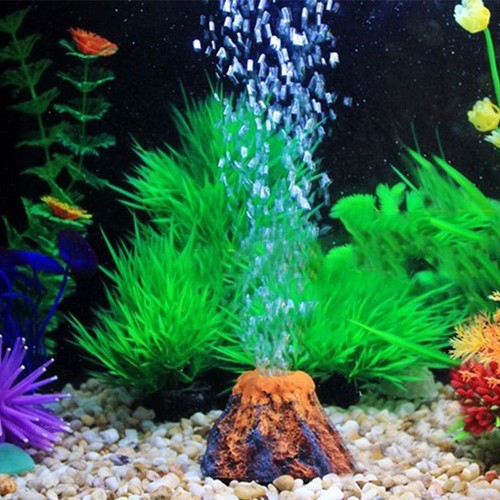940 Design Aquarium Fish HD Terbaik
