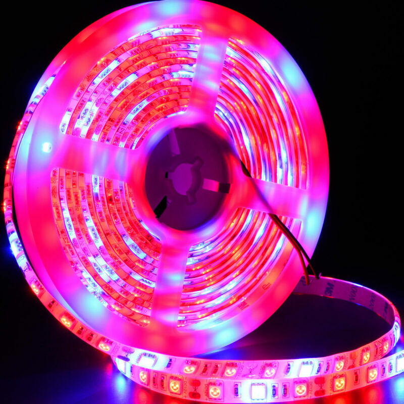 Strip Waterproof Full Spectrum Indoor Plant Lamp 12v