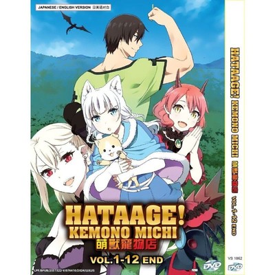 DVD Anime Hataage! Kemono Michi (Rise Up) Vol.1-12 End English Audio Dubbed