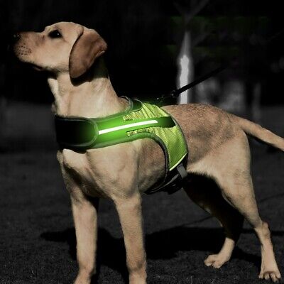 Adjustable Control Vest Dogs Light Reflective S M Large