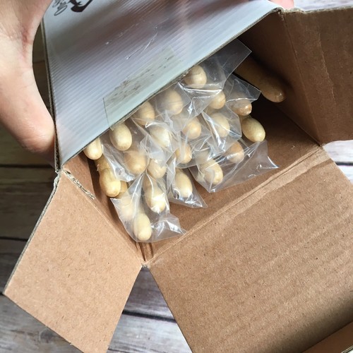 On Stage Sticks Drumsticks New In Box 22 Sticks