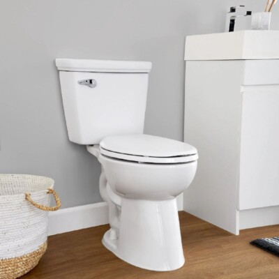 Mainstays Single Flush High Efficiency 2Piece Elongated Ceramic Toilet with Seat