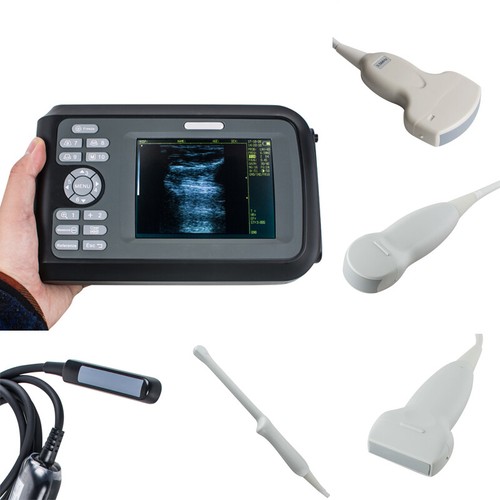 Carejoy Portable Digital Palm HandScanner V8 Vet Ultrasound Scanner Probes
