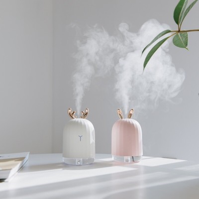 Fully Automatic Cactus Humidifier Water Mist Aromatherapy Sprayer Device 220ML