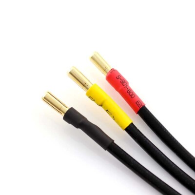 HobbyStar 3665 V2 4-Pole Brushless Motor Temperature Protection 3800KV RC Car