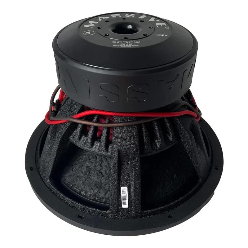 Massive Audio 15